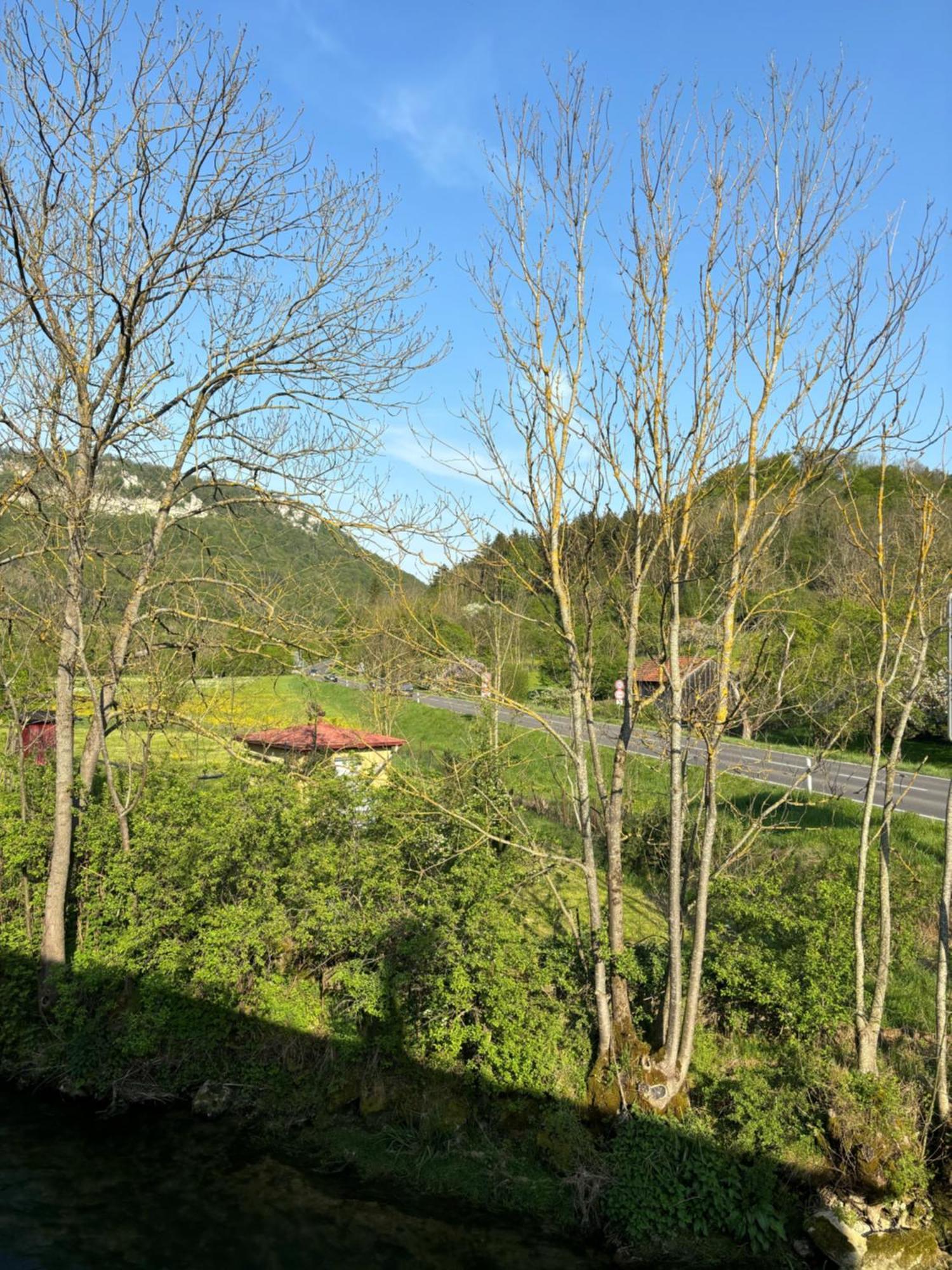 Vidi Am-bach *